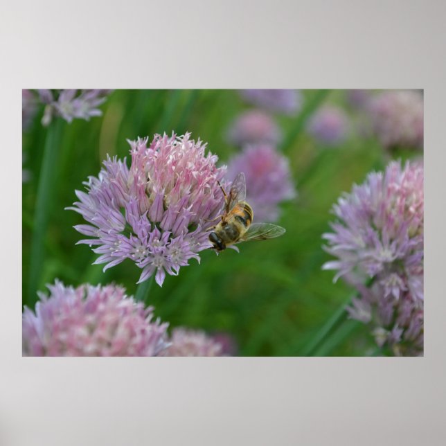 Póster Bee on the Flower (Frente)