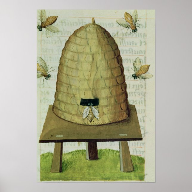 Póster Beehive y abejas (Frente)