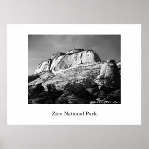 Póster Beehive y Monolito