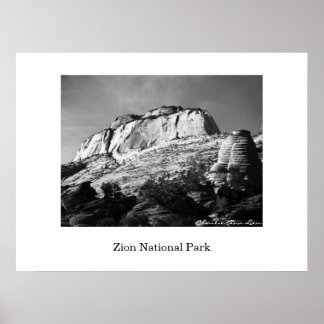 Póster Beehive y Monolito