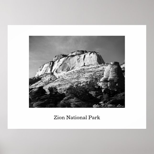 Póster Beehive y Monolito (Frente)