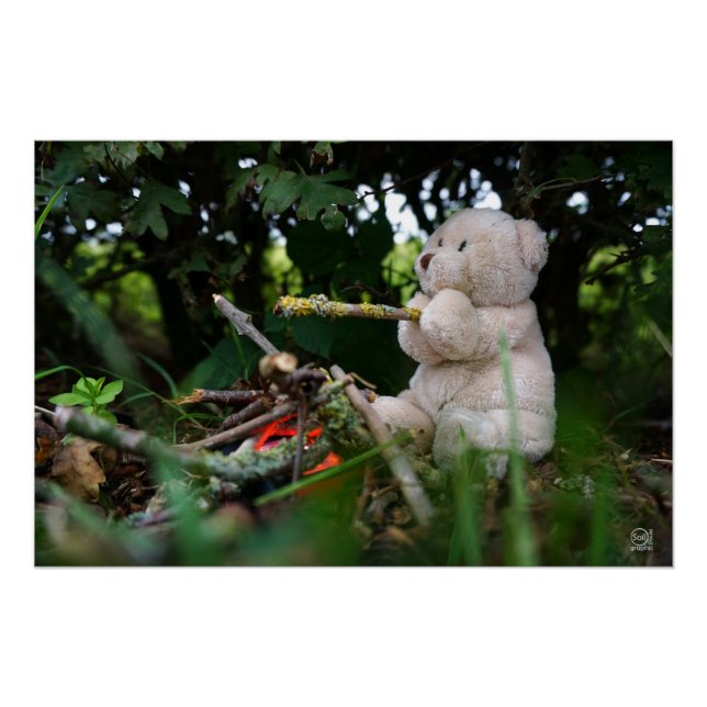 Póster Beertje dat bij kampvuur zit. (Anverso)