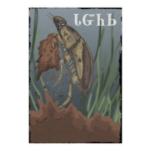 Beetle Finds Mud