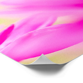 Póster Before the Bloom