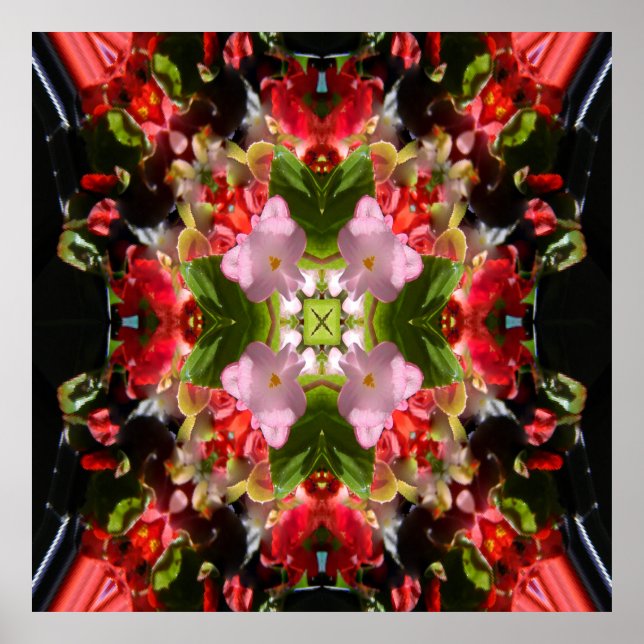 Póster Begonia está enamorada.... (Frente)