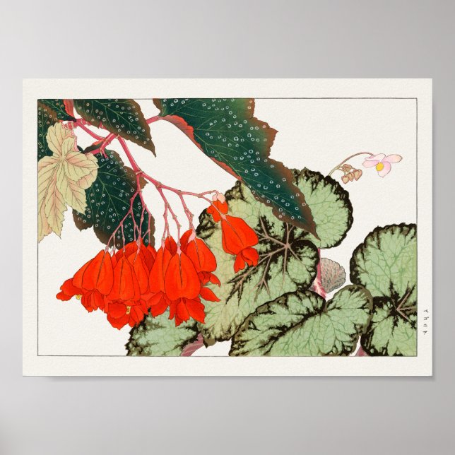 Póster Begonia por Tanigami Konan (Frente)