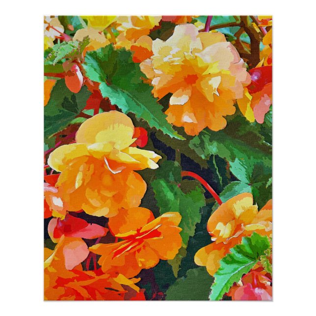 PÓSTER BEGONIAS (Anverso)