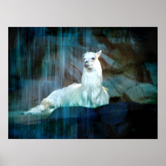 Póster Behind the Falls (Frente)