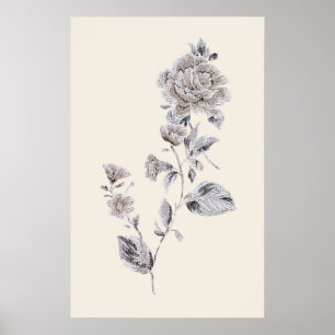 Póster Beige rosa