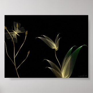 Póster Beige sobre negro