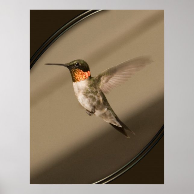 Póster Beija Flor (Frente)