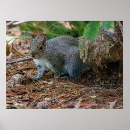 Póster Being Careful