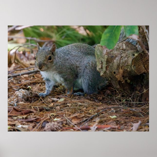 Póster Being Careful (Frente)