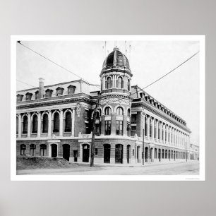 Póster Béisbol del Parque Shibe 1913