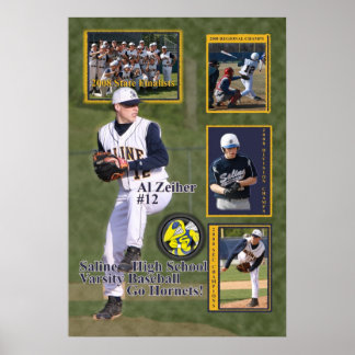 Póster Béisbol salino #12 Al 2008