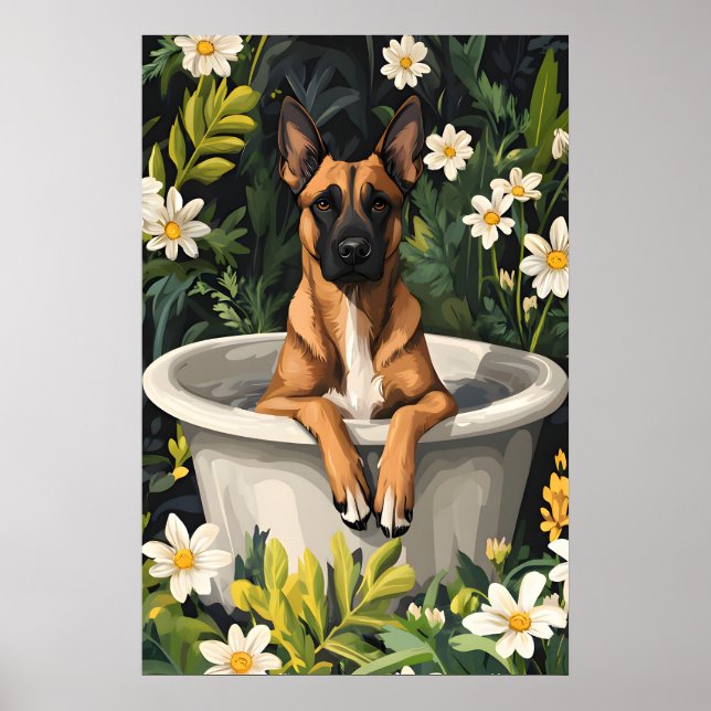 Póster Belgian Malinois In Bathtub Poster, Funny Dog (Frente)