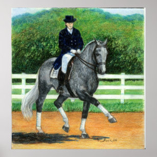 Póster Belgian Warmblood Dressage Horse Portrait