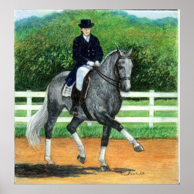 Póster Belgian Warmblood Dressage Horse Portrait (Frente)