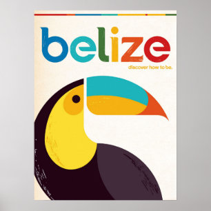 PÓSTER BELICE