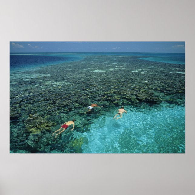 Póster Belice, barrera de coral, arrecife de faro, azul (Frente)