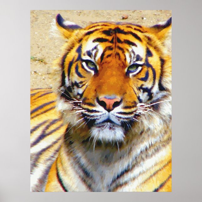 Póster Believe_Poster (Frente)