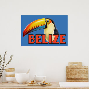 Póster BELIZAR Toucan