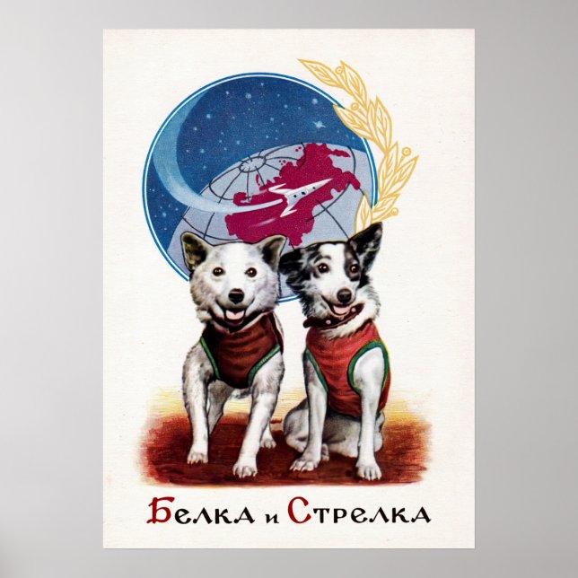 Póster Belka y Strelka, perros espaciales — poster soviét (Frente)