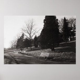 Póster Bell Vue Park, Newport, Mon (diciembre de 1977)