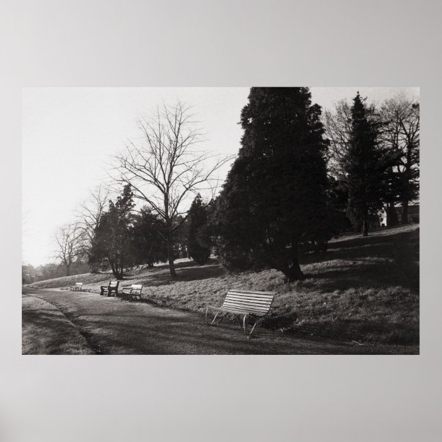 Póster Bell Vue Park, Newport, Mon (diciembre de 1977) (Frente)