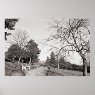 Póster Bell Vue Park, Newport, Mon (diciembre de 1977)