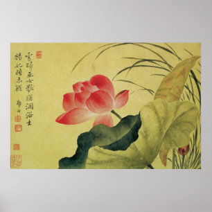Póster Bella Artes chino de Lotus Flower