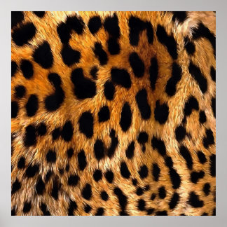 Póster Bella Artes de animales salvajes Black Brown