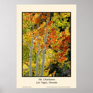 Póster Bella Artes De Aspen De Color De Otoño De Charlest