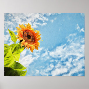 Póster Bella Artes De Desnudos Y Cielos Azules De Girasol