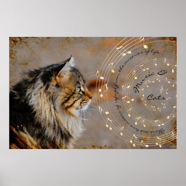 Póster Bella Artes de música y gatos (Frente)