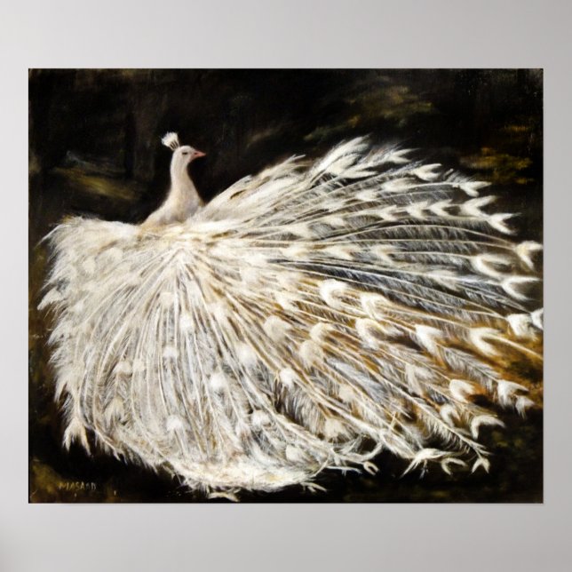 Póster Bella Artes de pintura de aceite de pavo real blan (Frente)