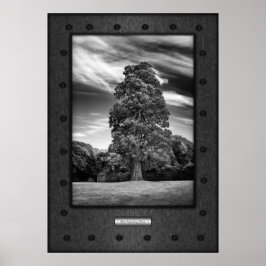 Póster Bella Artes, El árbol de lectura, acero falso riva