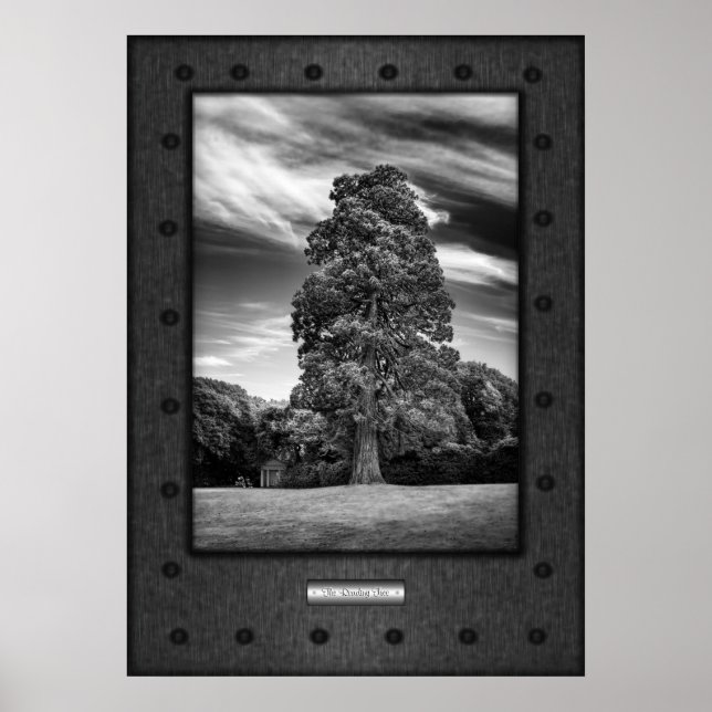 Póster Bella Artes, El árbol de lectura, acero falso riva (Frente)