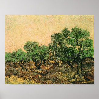 Póster Bella Artes Olive Picking Van Gogh