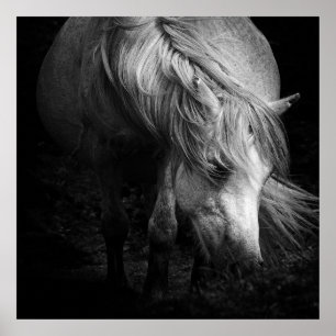 Póster Bella Artes Pony Head y Mane print