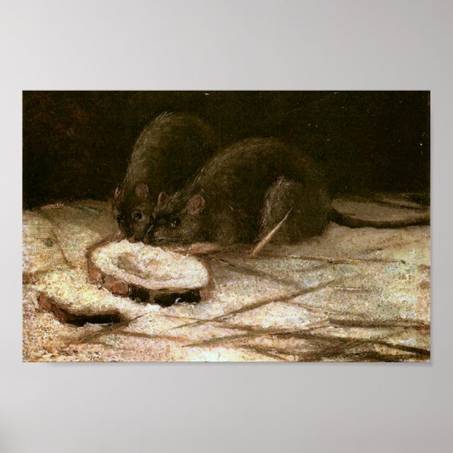 Póster Bella Artes Rats Van Gogh (Frente)