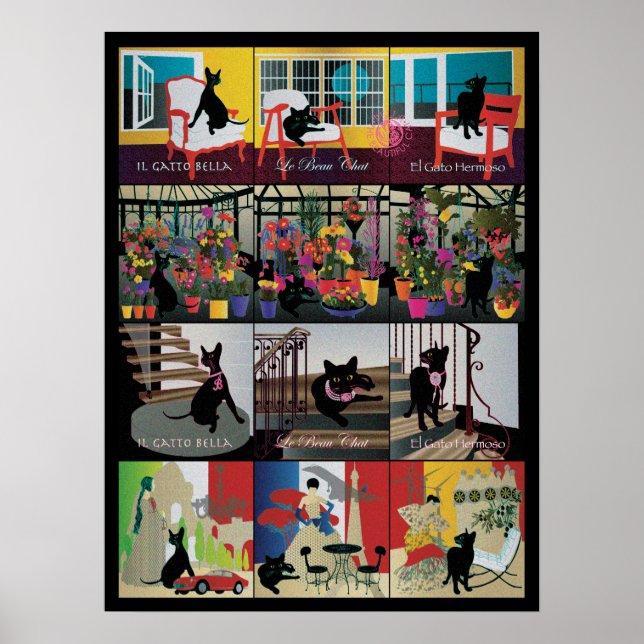 Póster Bella: El hermoso gato Poster de 18 "x24" (Frente)