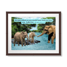 Bella Escritura Elefante Luke 6:31