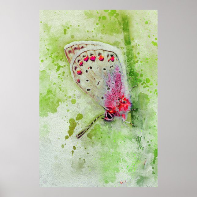 Póster bella mariposa blanca sobre un cuadro de tallo (Frente)