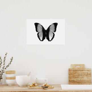Póster Bella Mariposa Fotografía En Blanco Y Negro