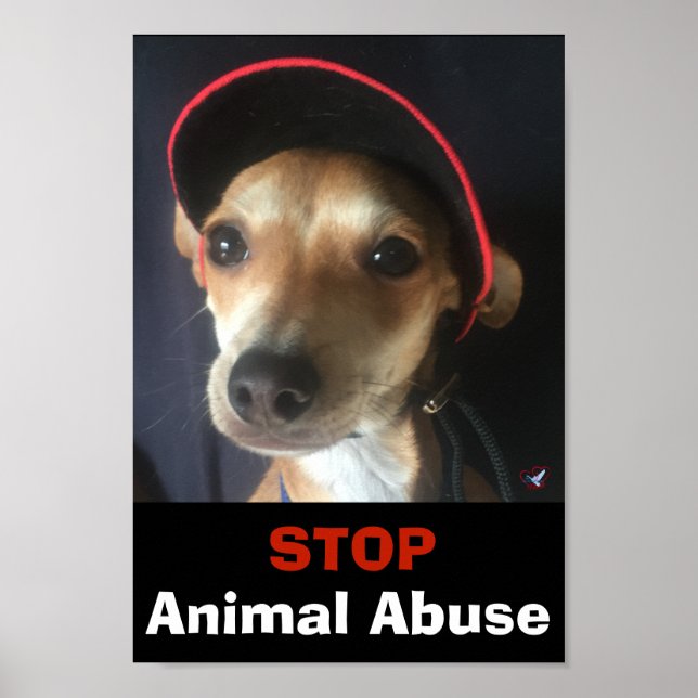 PÓSTER BELLA STOP ANIMAL ABUSE POSTER (Frente)