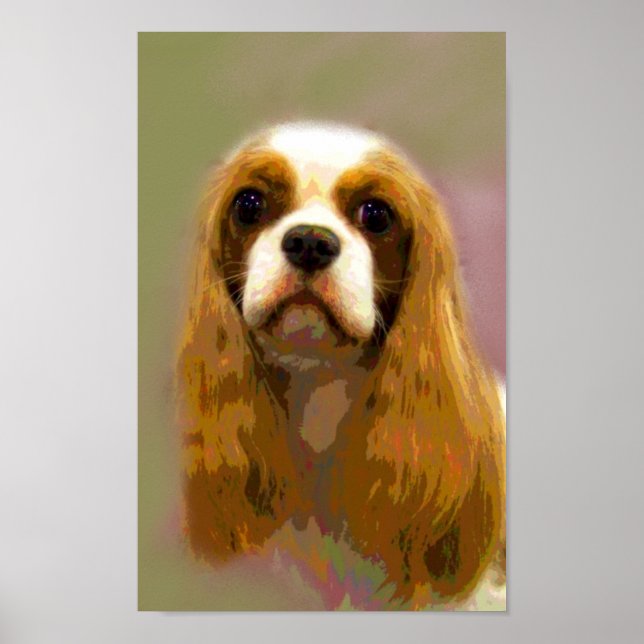 Póster Bellas Artes Cavalier King Charles Spaniel (Frente)
