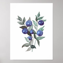Póster Bellas azules Fruit Watercolor Artística