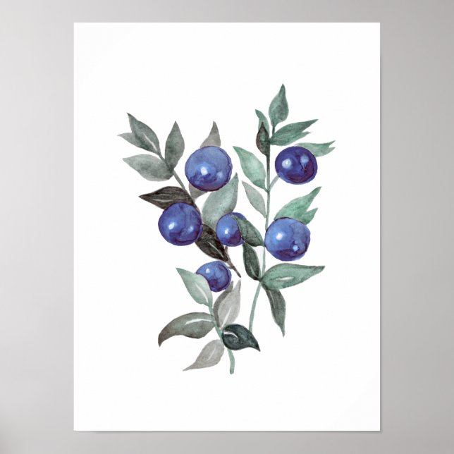 Póster Bellas azules Fruit Watercolor Artística (Frente)