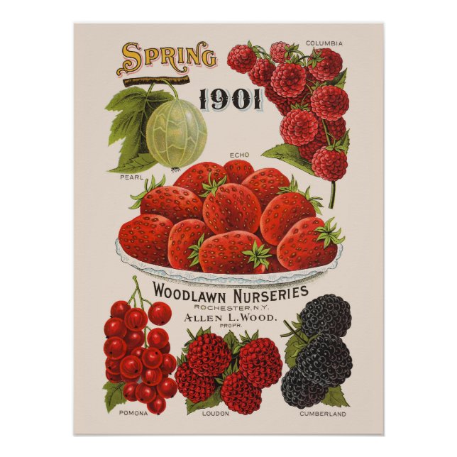 Póster Bellas de primavera (Anverso)